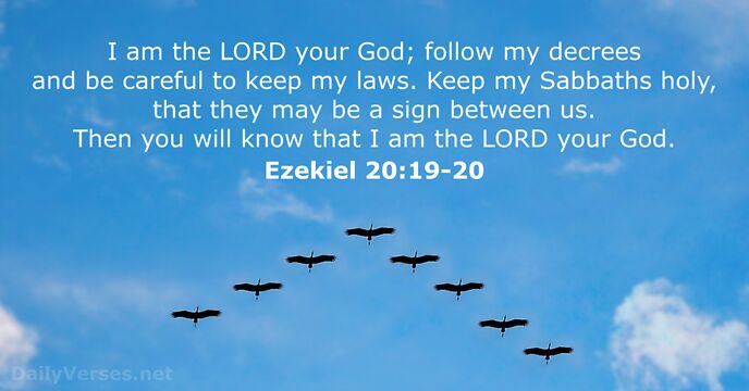 I am the LORD your God; follow my decrees and be careful… Ezekiel 20:19-20