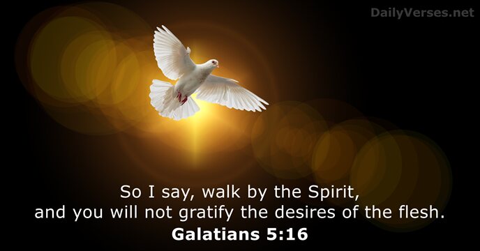 So I say, walk by the Spirit, and you will not gratify… Galatians 5:16