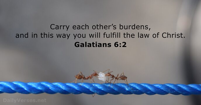 Carry each other’s burdens, and in this way you will fulfill the… Galatians 6:2