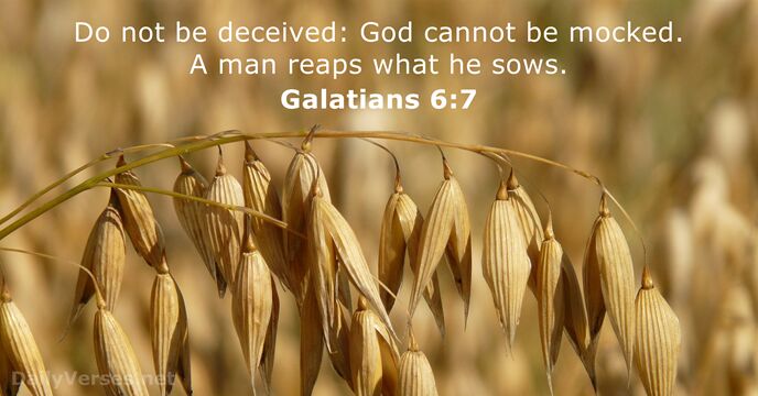 Galatians 6:7