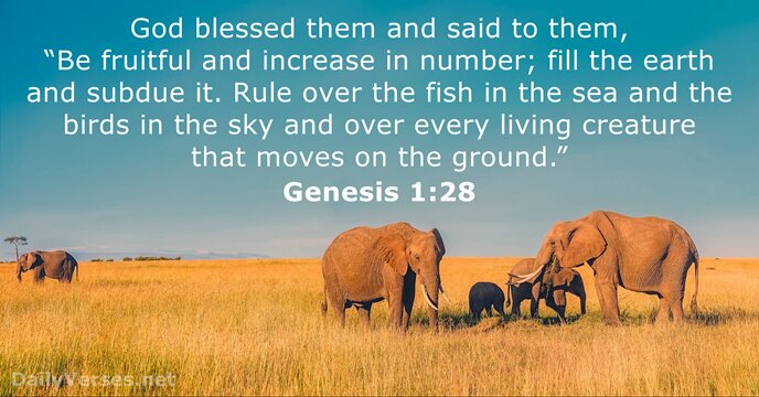 God blessed them and said to them, “Be fruitful and increase in… Genesis 1:28