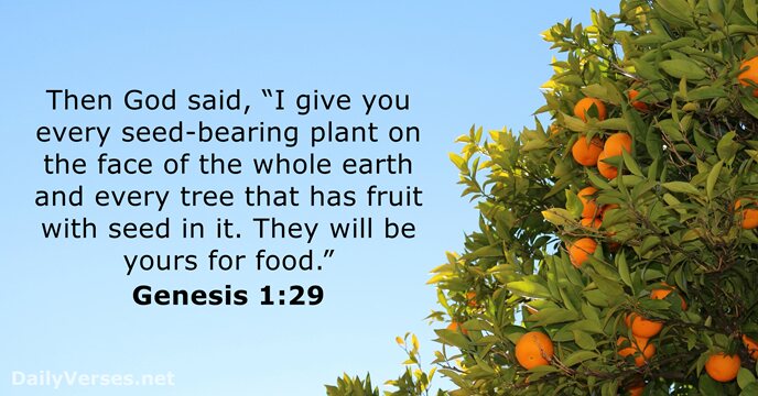 Then God said, “I give you every seed-bearing plant on the face… Genesis 1:29