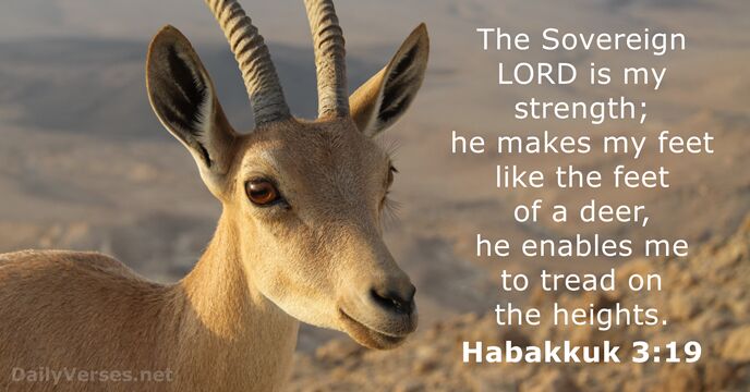 Habakkuk 3:19