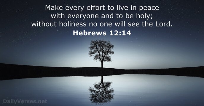 Hebrews 12:14