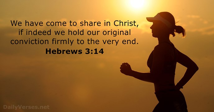 Hebrews 3:14