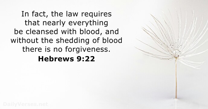 In fact, the law requires that nearly everything be cleansed with blood… Hebrews 9:22