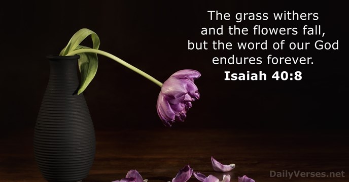 Isaiah 40:8 - Bible verse of the day - DailyVerses.net