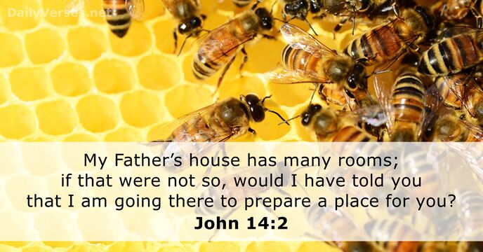 My Father’s house has many rooms; if that were not so, would… John 14:2