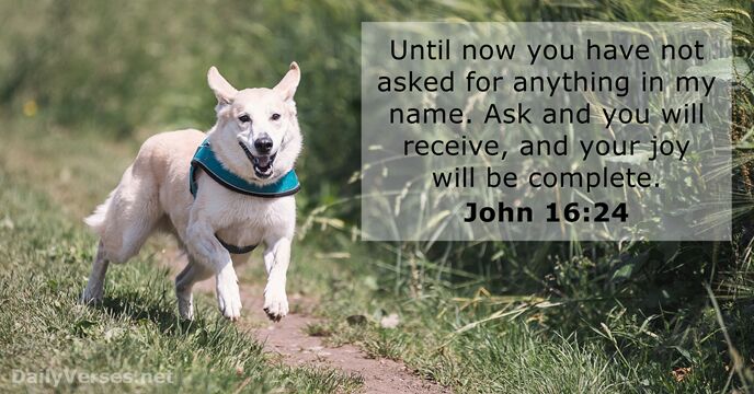 John 16:24