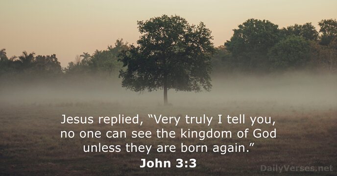 Jesus replied, “Very truly I tell you, no one can see the… John 3:3