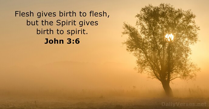 John 3:6