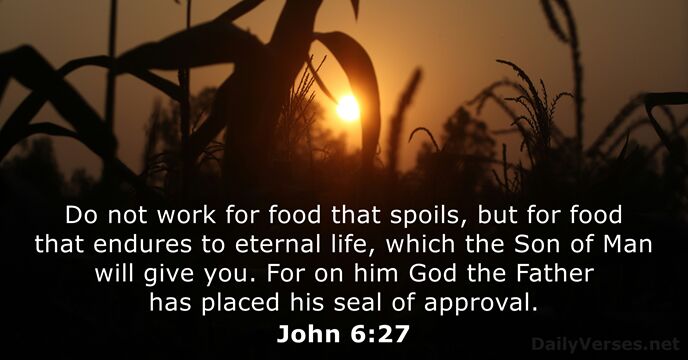 John 6:27