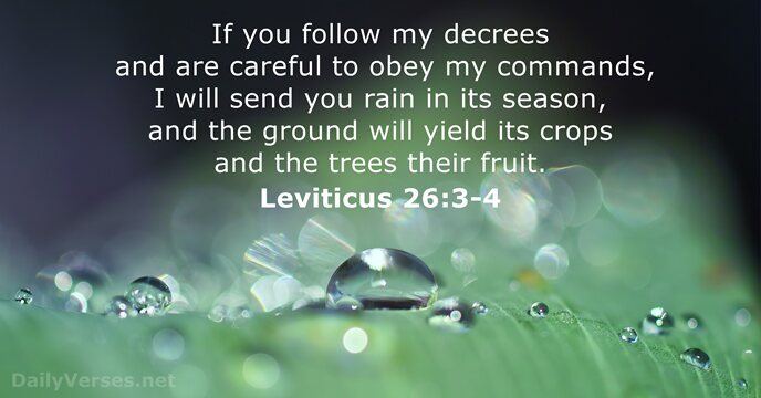 If you follow my decrees and are careful to obey my commands… Leviticus 26:3-4