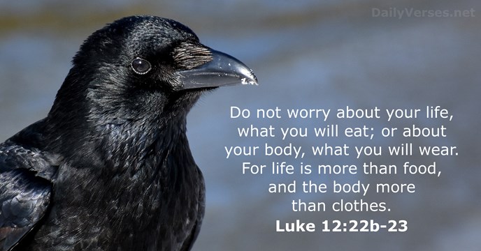 Do not worry about your life, what you will eat; or about… Luke 12:22b-23