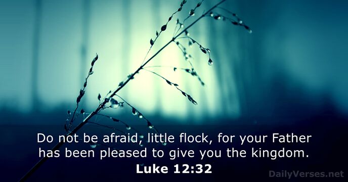 Do not be afraid, little flock, for your Father has been pleased… Luke 12:32