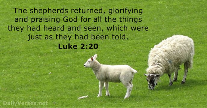 The shepherds returned, glorifying and praising God for all the things they… Luke 2:20