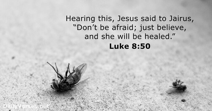 Hearing this, Jesus said to Jairus, “Don’t be afraid; just believe, and… Luke 8:50