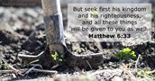 Matthew 6:33