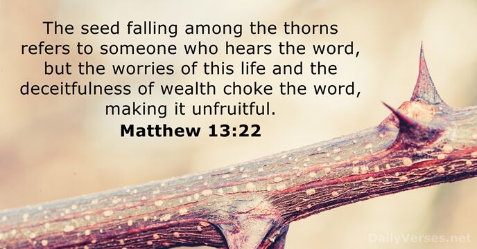 The seed falling among the thorns refers to someone who hears the… Matthew 13:22