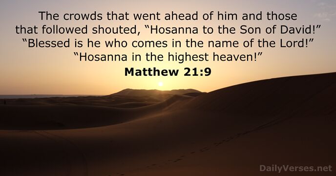 The crowds that went ahead of him and those that followed shouted… Matthew 21:9