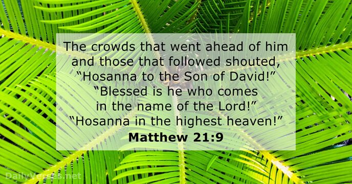 Matthew 21 9 Bible Verse DailyVerses