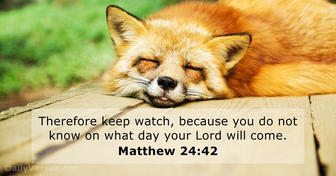 Matthew 24 42 Bible Verse DailyVerses
