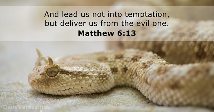 And lead us not into temptation, but deliver us from the evil one. Matthew 6:13