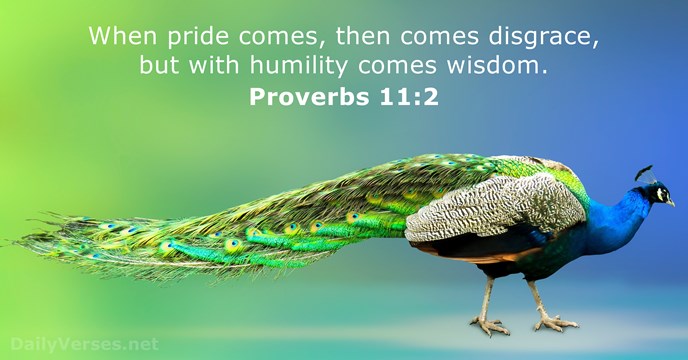 When pride comes, then comes disgrace, but with humility comes wisdom. Proverbs 11:2