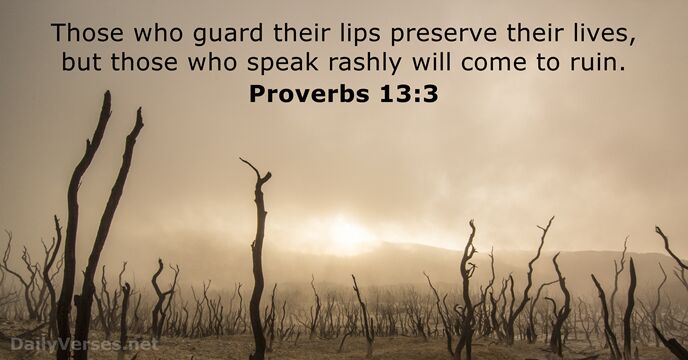 Proverbs 13:3