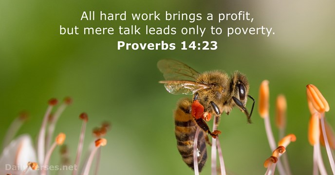 Proverbs 14 23 Bible Verse DailyVerses
