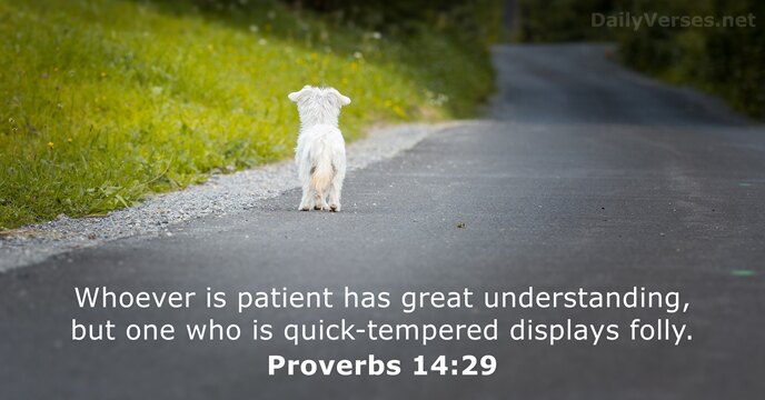 Whoever is patient has great understanding, but one who is quick-tempered displays folly. Proverbs 14:29