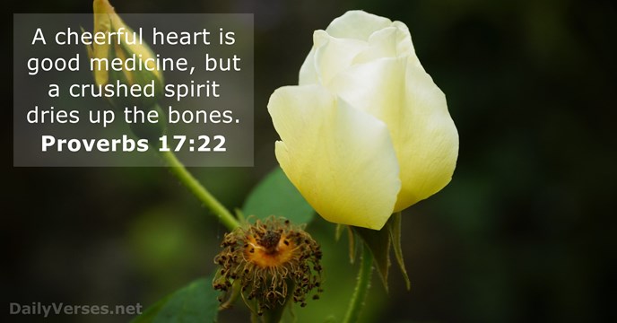 Proverbs 17 22 Bible Verse DailyVerses