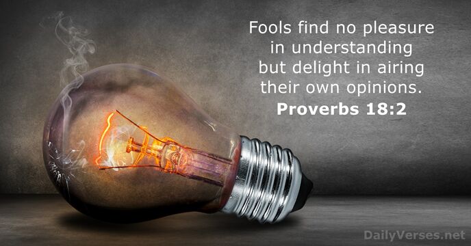 Fools find no pleasure in understanding but delight in airing their own opinions. Proverbs 18:2