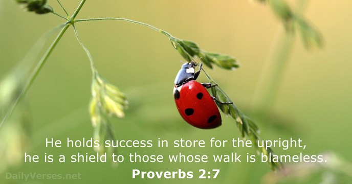 He holds success in store for the upright, he is a shield… Proverbs 2:7