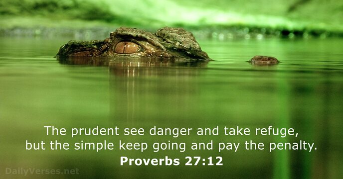 The prudent see danger and take refuge, but the simple keep going… Proverbs 27:12