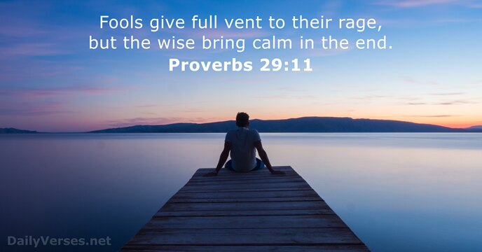 Fools give full vent to their rage, but the wise bring calm… Proverbs 29:11