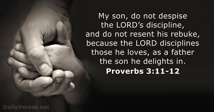 My son, do not despise the LORD’s discipline, and do not resent… Proverbs 3:11-12