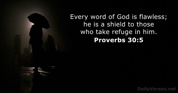 Every word of God is flawless; he is a shield to those… Proverbs 30:5