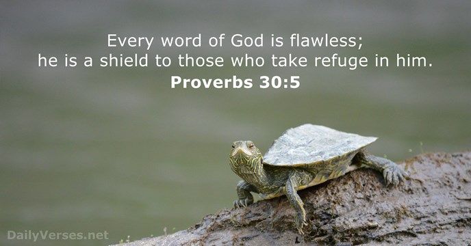 Every word of God is flawless; he is a shield to those… Proverbs 30:5