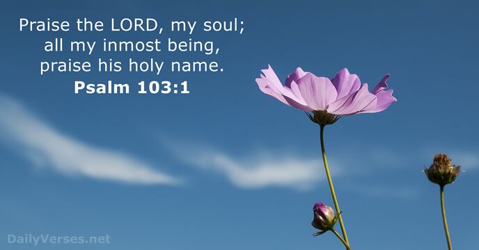 Praise the LORD, my soul; all my inmost being, praise his holy name. Psalm 103:1