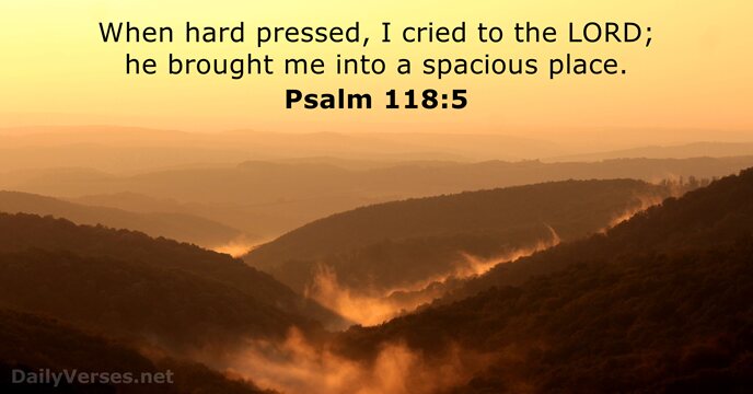 When hard pressed, I cried to the LORD; he brought me into… Psalm 118:5