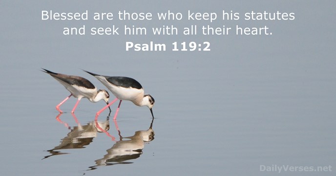 Blessed are those who keep his statutes and seek him with all their heart. Psalm 119:2