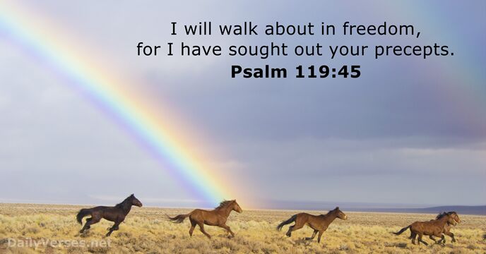 I will walk about in freedom, for I have sought out your precepts. Psalm 119:45