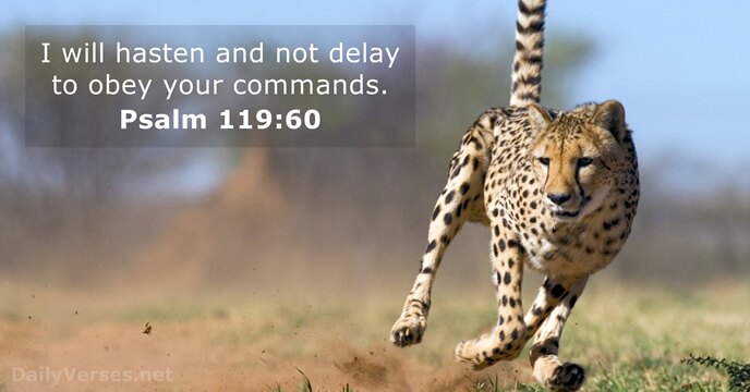 I will hasten and not delay to obey your commands. Psalm 119:60