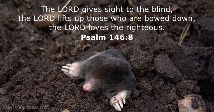 Psalm 146:8