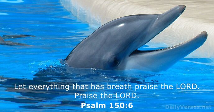 Let everything that has breath praise the LORD. Praise the LORD. Psalm 150:6