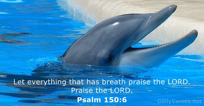 Psalm 150:6