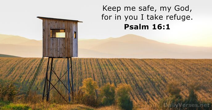 Keep me safe, my God, for in you I take refuge. Psalm 16:1