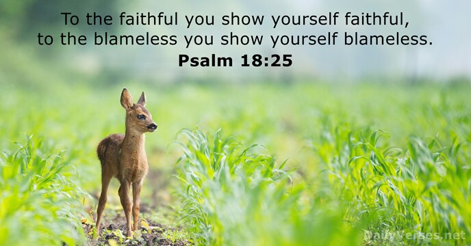 To the faithful you show yourself faithful, to the blameless you show yourself blameless. Psalm 18:25