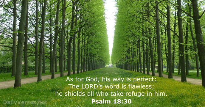 Psalm 18 30 Bible Verse DailyVerses